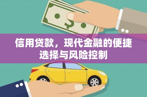 稻城信用贷款，现代金融的便捷选择与风险控制