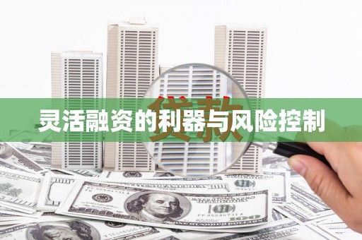 稻城灵活融资的利器与风险控制