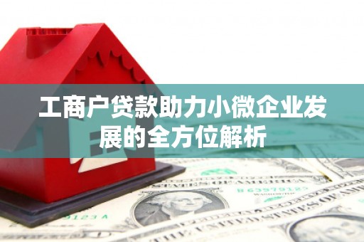 稻城工商户贷款助力小微企业发展的全方位解析