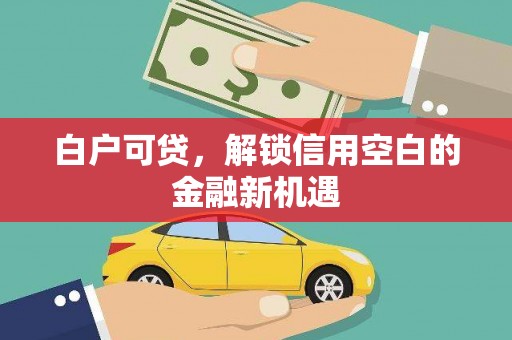稻城白户可贷，解锁信用空白的金融新机遇
