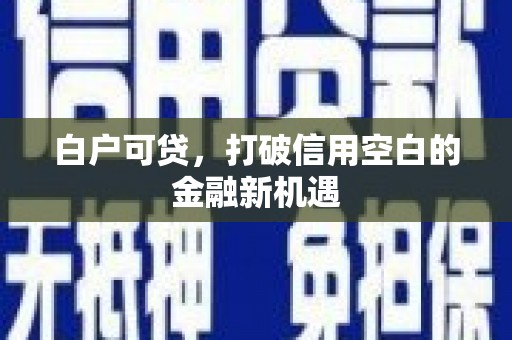 稻城白户可贷，打破信用空白的金融新机遇