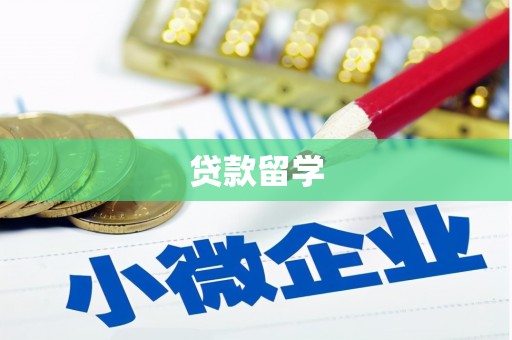 稻城贷款留学