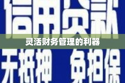 稻城灵活财务管理的利器