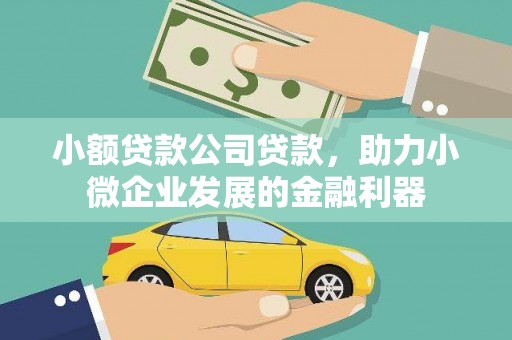 稻城小额贷款公司贷款，助力小微企业发展的金融利器