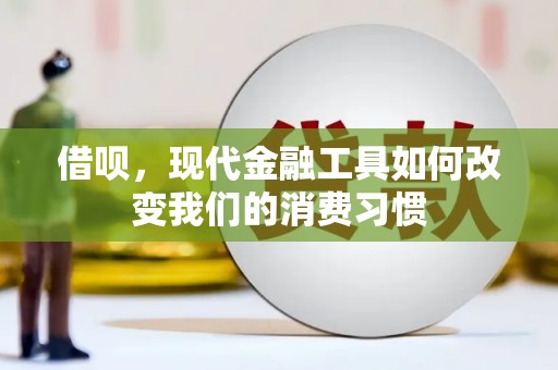 稻城借呗，现代金融工具如何改变我们的消费习惯