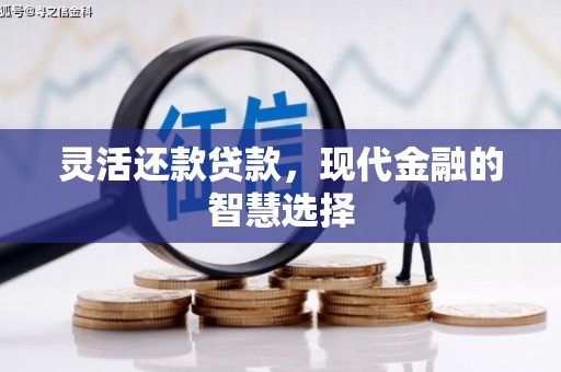 稻城灵活还款贷款，现代金融的智慧选择