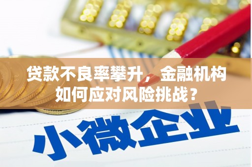 稻城贷款不良率攀升，金融机构如何应对风险挑战？