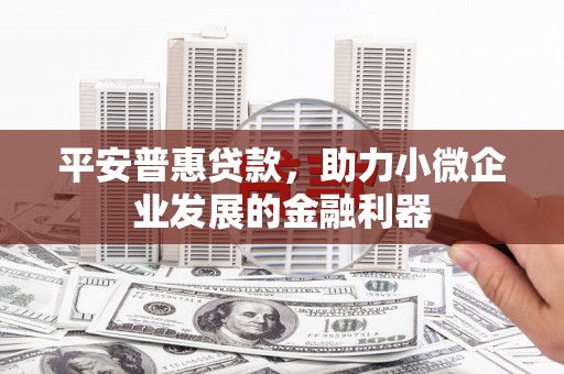 稻城平安普惠贷款，助力小微企业发展的金融利器