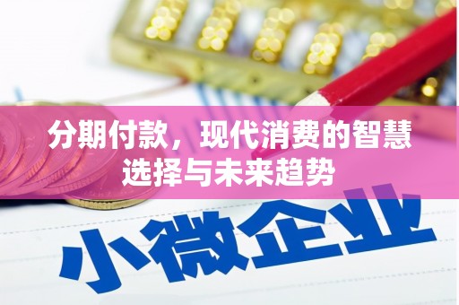 稻城分期付款，现代消费的智慧选择与未来趋势