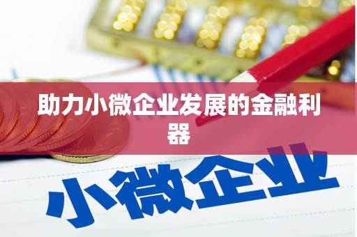 稻城助力小微企业发展的金融利器