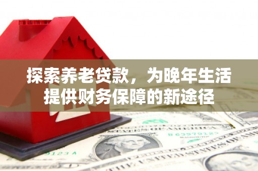 稻城探索养老贷款，为晚年生活提供财务保障的新途径