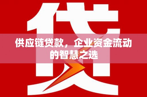 稻城供应链贷款，企业资金流动的智慧之选