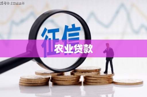 稻城农业贷款