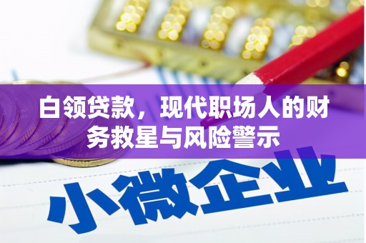 稻城白领贷款，现代职场人的财务救星与风险警示