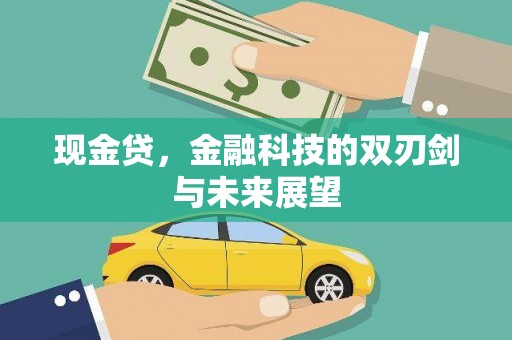 稻城现金贷，金融科技的双刃剑与未来展望