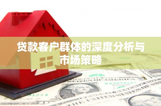 稻城贷款客户群体的深度分析与市场策略