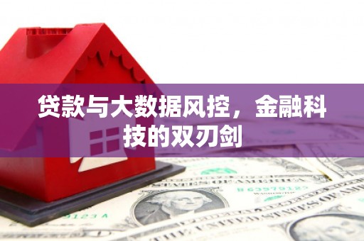 稻城贷款与大数据风控，金融科技的双刃剑
