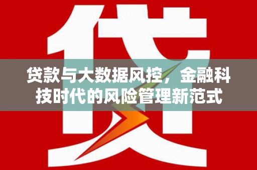 稻城贷款与大数据风控，金融科技时代的风险管理新范式