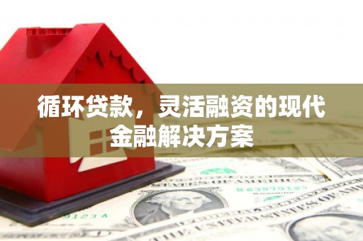 稻城循环贷款，灵活融资的现代金融解决方案
