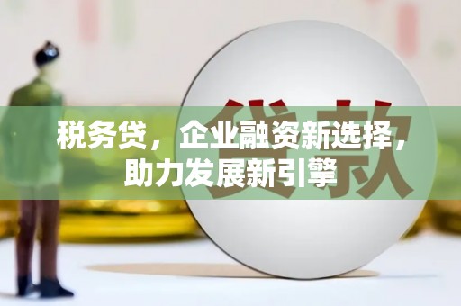 稻城税务贷，企业融资新选择，助力发展新引擎