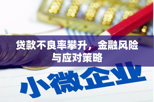 稻城贷款不良率攀升，金融风险与应对策略