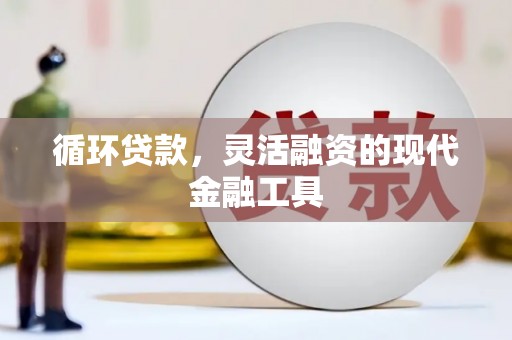 稻城循环贷款，灵活融资的现代金融工具