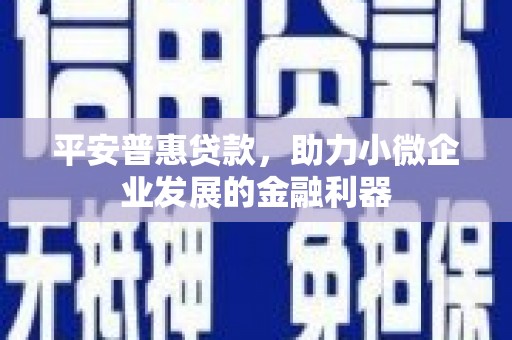 稻城平安普惠贷款，助力小微企业发展的金融利器