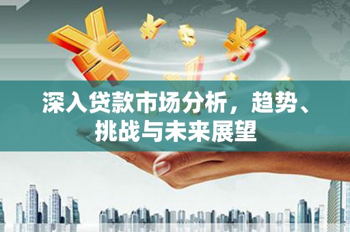 稻城深入贷款市场分析，趋势、挑战与未来展望