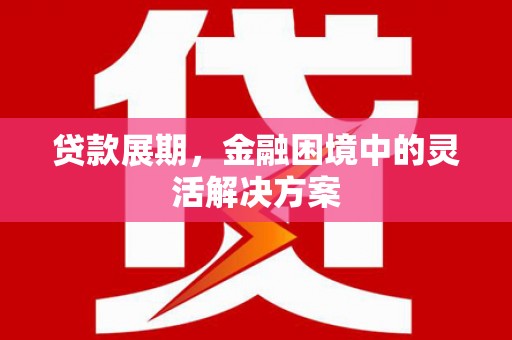 稻城贷款展期，金融困境中的灵活解决方案