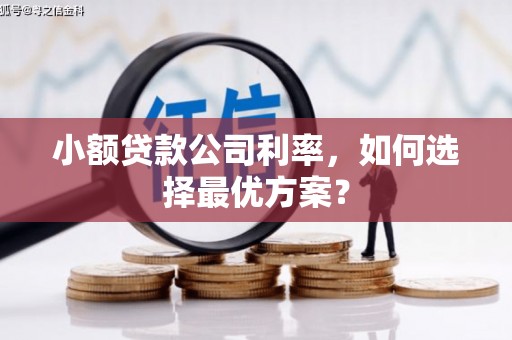 稻城小额贷款公司利率，如何选择最优方案？