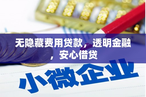 稻城无隐藏费用贷款，透明金融，安心借贷