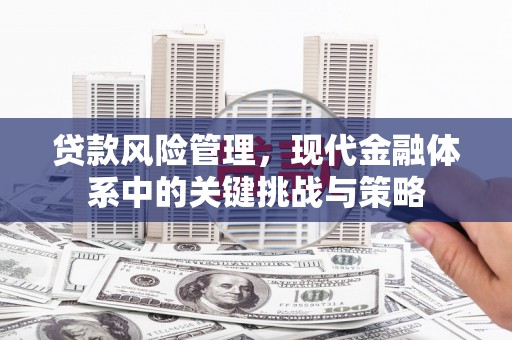 稻城贷款风险管理，现代金融体系中的关键挑战与策略