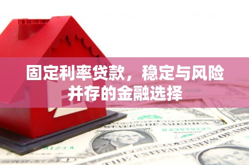 稻城固定利率贷款，稳定与风险并存的金融选择