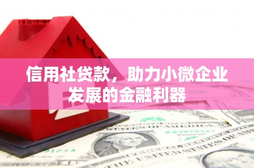 稻城信用社贷款，助力小微企业发展的金融利器