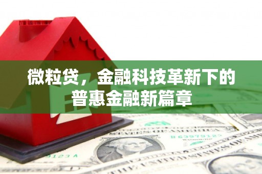 稻城微粒贷，金融科技革新下的普惠金融新篇章