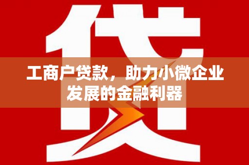 稻城工商户贷款，助力小微企业发展的金融利器