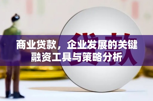 稻城商业贷款，企业发展的关键融资工具与策略分析