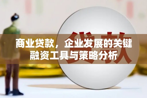 稻城商业贷款，企业发展的关键融资工具与策略分析