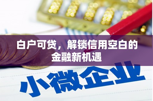 稻城白户可贷，解锁信用空白的金融新机遇