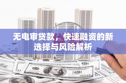 稻城无电审贷款，快速融资的新选择与风险解析
