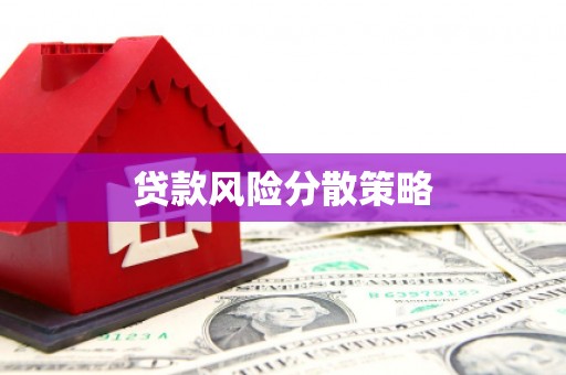稻城贷款风险分散策略