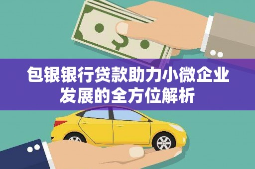 稻城包银银行贷款助力小微企业发展的全方位解析