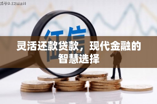 稻城灵活还款贷款，现代金融的智慧选择