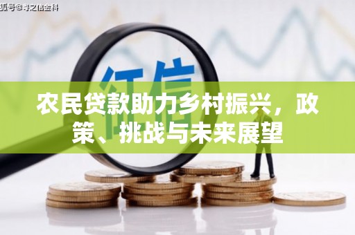 稻城农民贷款助力乡村振兴，政策、挑战与未来展望