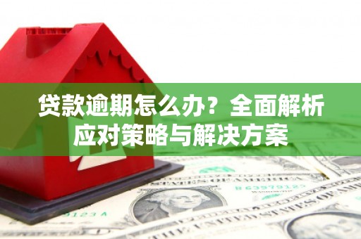 稻城贷款逾期怎么办？全面解析应对策略与解决方案