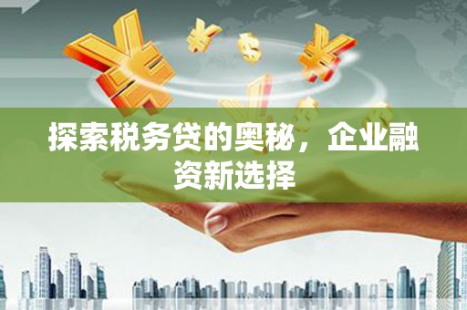 稻城探索税务贷的奥秘，企业融资新选择