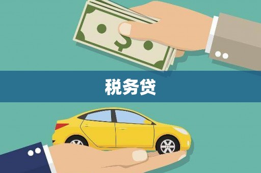 稻城税务贷