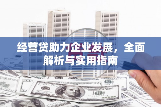 稻城经营贷助力企业发展，全面解析与实用指南