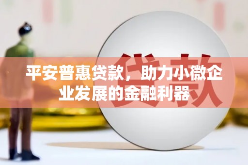 稻城平安普惠贷款，助力小微企业发展的金融利器