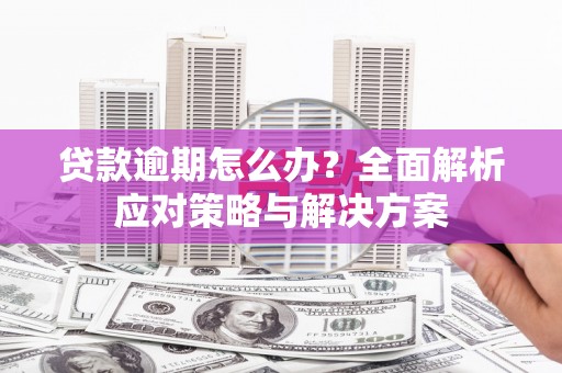 稻城贷款逾期怎么办？全面解析应对策略与解决方案